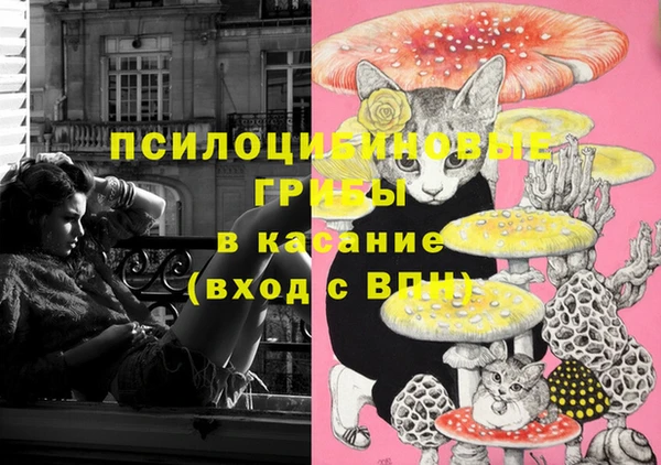 ECSTASY Белокуриха