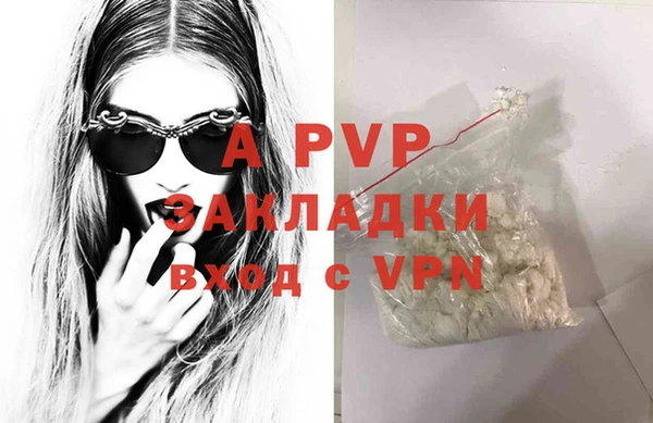 ECSTASY Белокуриха